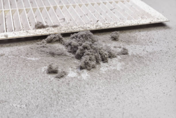 Air Duct Mold Removal in MT